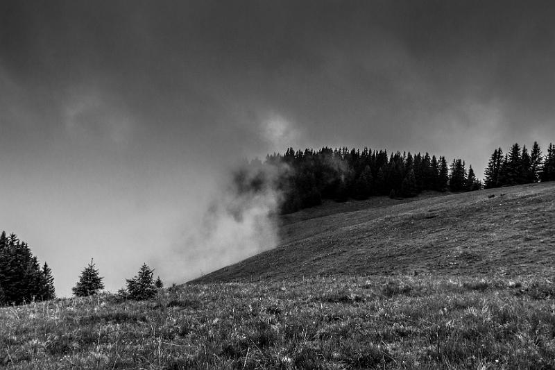 2017_06_05 (0051).jpg - Col Croix-Fry, pointe de Beauregard (Juin 2017)